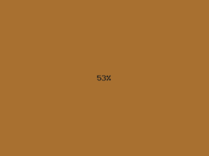 53% キャメル